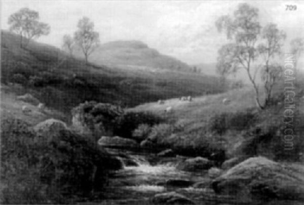 On Barden Moors, Yorkshire - view 1