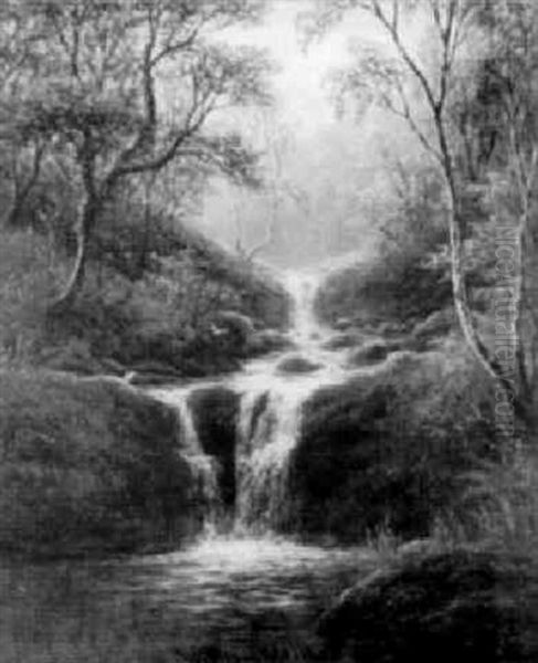 The Falls, Ingleton - view 1