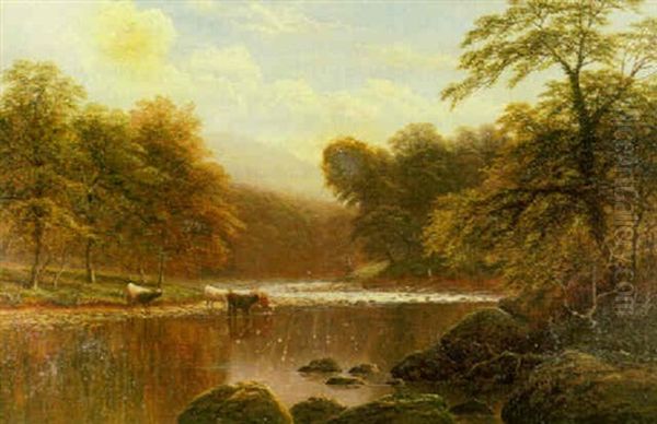 Cattle Watering In A Mountainous River Landscape, North Wales - view 1