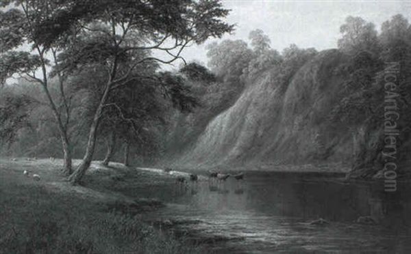 Cattle Watering, Bolton Abbey, Yorkshire - view 1