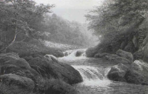 River Scene Derbyshire - view 1