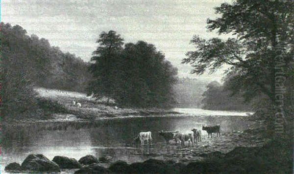 Highland Cattle Watering At A River - view 1