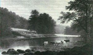 Highland Cattle Watering At A River