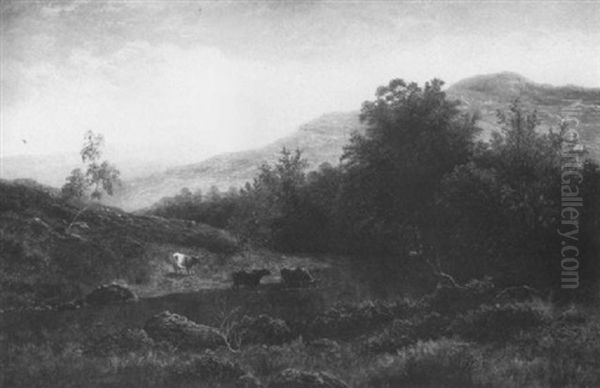 View Near Ingleton - view 1