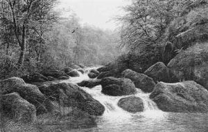 On The Burbadge, Derbyshire