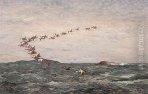 Strackande Ejdrar by Rolf Mellstrom
