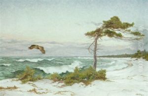 Kustlandskap Med Rovfagel