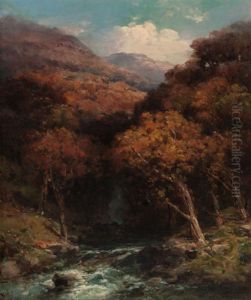 Forest Creek Bed by Andrew Melrose