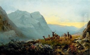 A Highland Dawn - Pass Of Glencoe, Scotland by Andrew Melrose