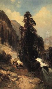 Foothills Of The Rockies by Andrew Melrose