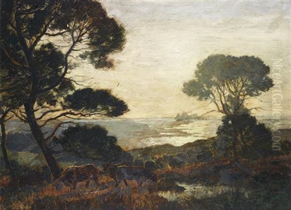 Pinede - view 1