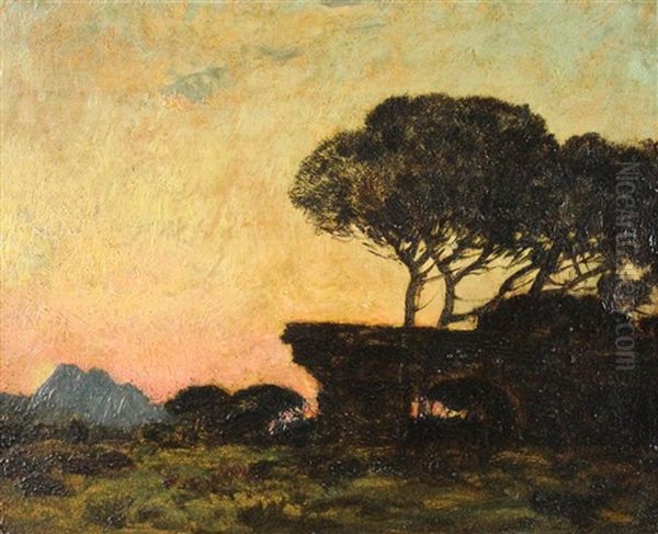 The Pines Of Frejus - view 1