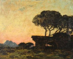 The Pines Of Frejus