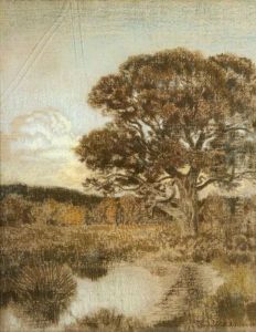 Arbres Dans Un Marais