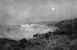 Lever De Lune Sur La Falaise