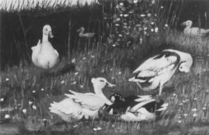 Enten Am Rande Eines Teiches Im Sonnigen Licht by Arthur Mendel