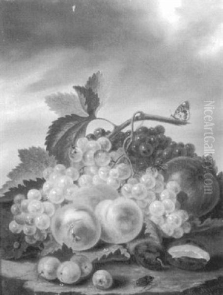 Still Life With Fruit - view 1