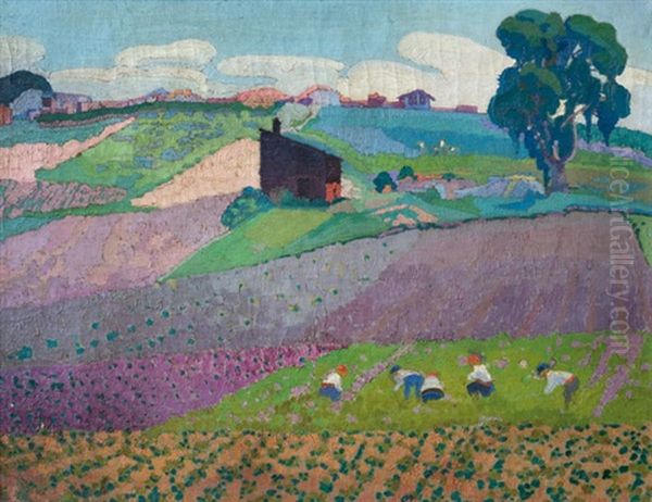 Trabajando El Campo - view 1