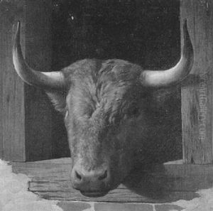 Toro Asomado Al Toril