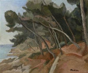 Bord De Mer Sur La Cote Mediterraneenne