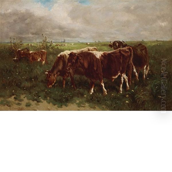 Cattle In A Pasture - view 1
