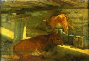 Vacas En El Establo