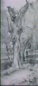 Personaje En El Bosque