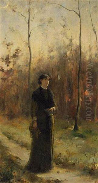 Waldspaziergang - view 1