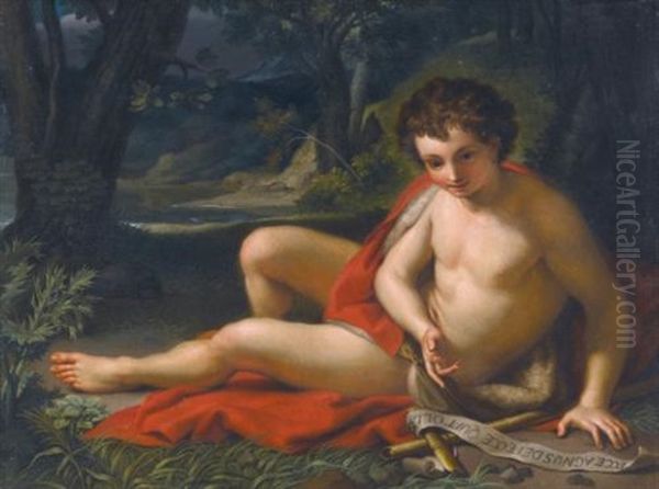 Saint John The Baptist In The Desert - view 1