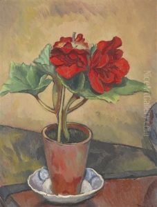 Begonias Begonias