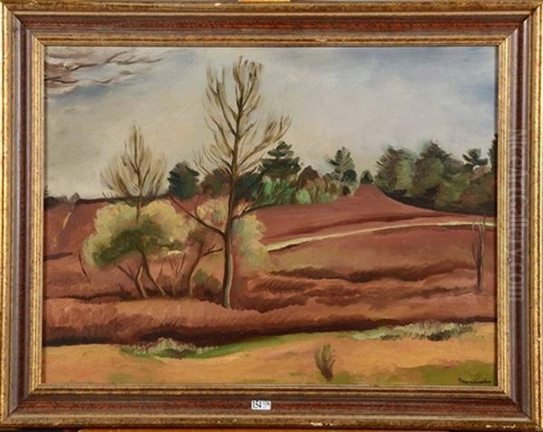 Paysage D'automne - view 1