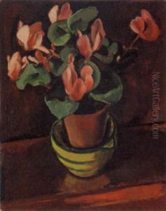Cyclamen Cyclamen