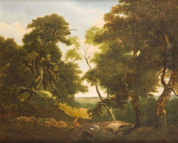Waldlandschaft Mit Ausblick - view 1