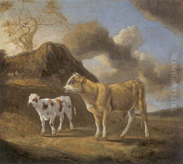 Jungbulle Und Kalb In Der Sonne - view 1