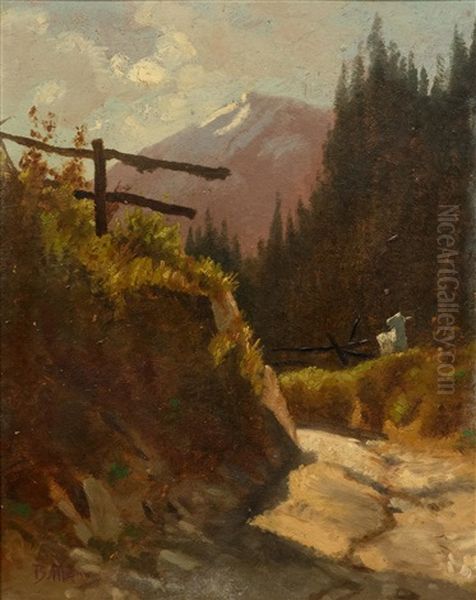 Trail With Goat - view 1