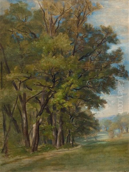 At The Edge Of A Forest - view 1