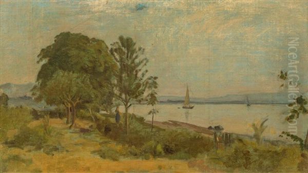 Bord Du Lac Leman - view 1