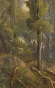 Waldstudie by Barthelemy Menn
