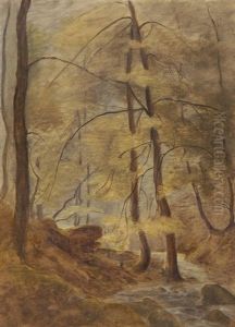 Waldlandschaft Mit Bach Waldlandschaft Mit Bach