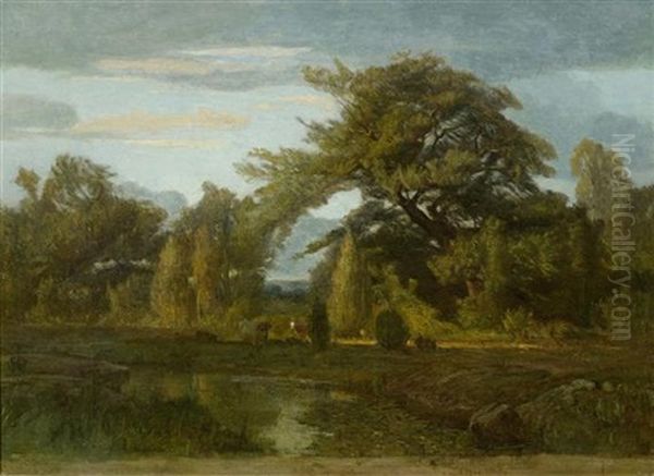 Weiherlandschaft Mit Kuhen Am Waldrand - view 1