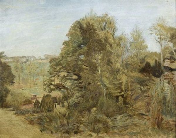 Sonnige Waldpartie - view 1