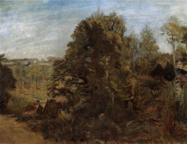 Sonnige Waldlandschaft - view 1