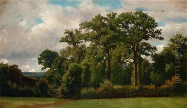 Landschaft Mit Baumen - view 1