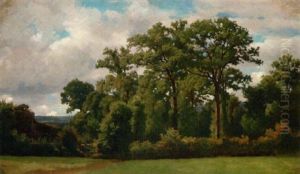 Landschaft Mit Baumen by Barthelemy Menn