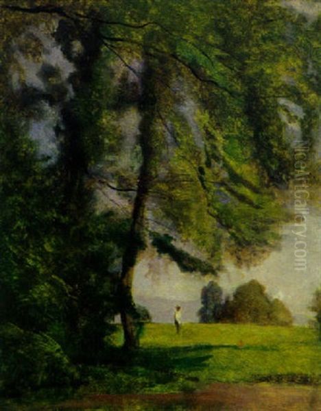 Bauer Unter Einem Baum Am Waldrand - view 1