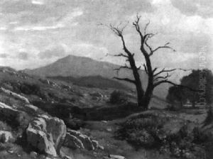 Hugelige Landschaft Mit Altem Baum Zwischen Felsbrocken by Barthelemy Menn