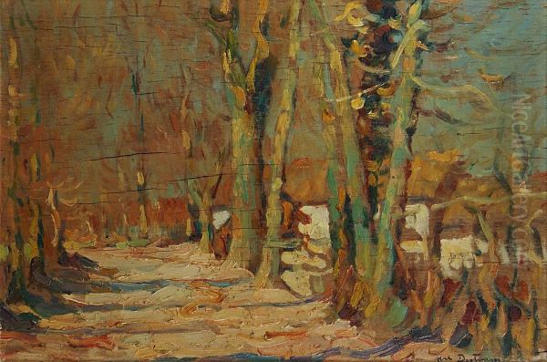 Lallee Darbres - view 1