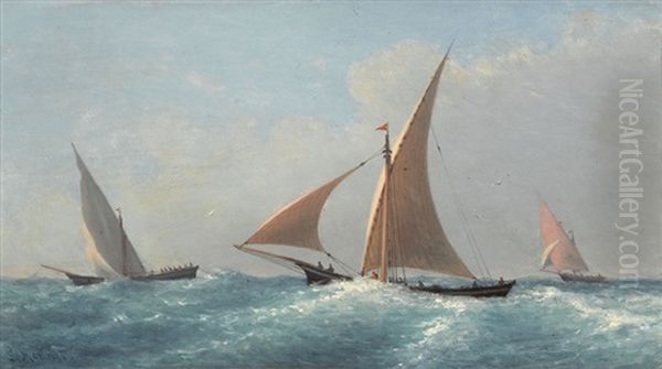 Segelboote Auf Leicht Bewegter See - view 1