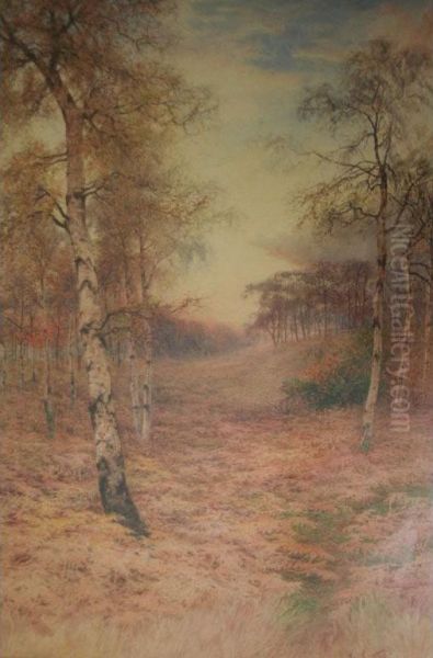 Autumn Woods - view 1