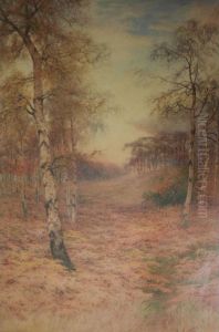 Autumn Woods by Paul Bertram